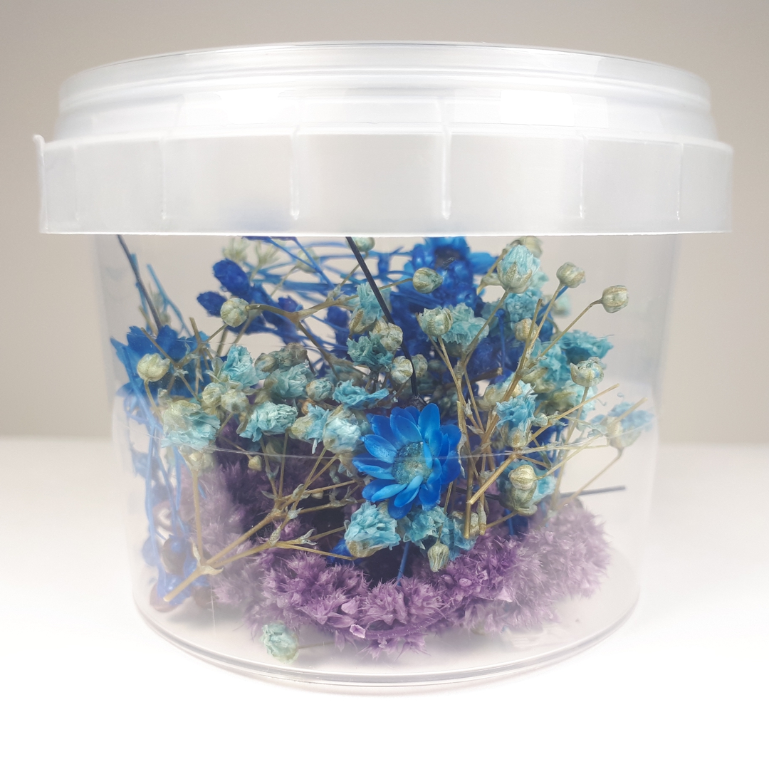 Flores Azul / Violeta