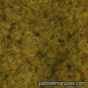 C-215 Verde oliva anaranjado