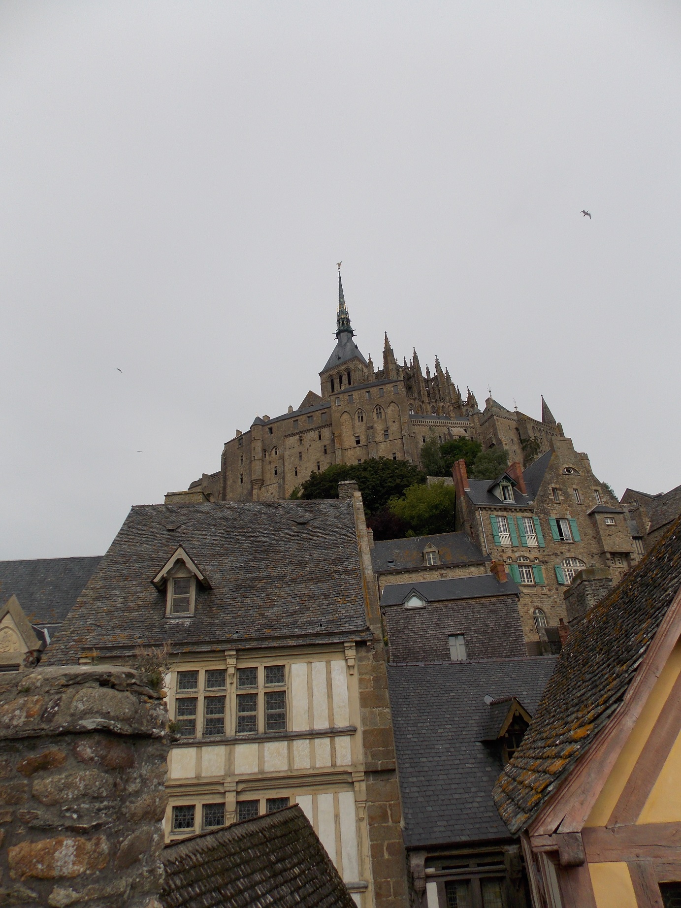 dscn0927