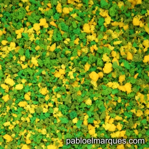 J-01 Jardín: flores amarillas