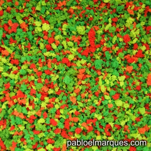 J-04 Jardín: flores rojas